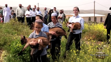 Histórica Práctica de Sacrificio simulando estar en el tercel templo