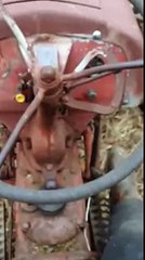 Ford 9n bush hogging