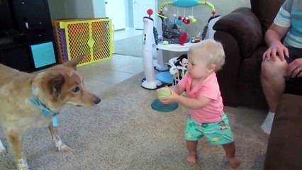 BABY VS. DOG (7.7.14 - Day 528) - Daily Bumps