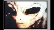 La mélopée des GRIS extraterrestre  Que sont ils ?, que veulent-ils ?
