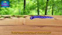 Worm Family Finger Family _ 3D Finger Family (Daddy Finger) Rhymes Collection