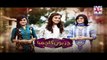 Chirryon Ka Chamba Episode 46 Full HUMSITARAY TV Drama 29 June 2015