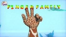 Finger Family  Crazy Dinosaur Family Nursery Rhyme - Funny Finger Family Songs For Children In 3D
