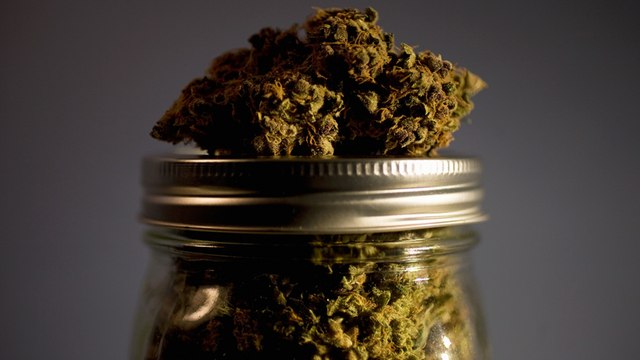 Canada May Soon Be Legalizing Marijuana