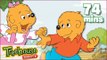 The Berenstain Bears : Environment Compilation! | Funny Cartoons for Children By Treehouse Direct