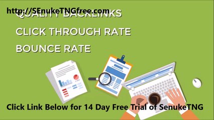 Senuke TNG Best Search Engine Marketing Services