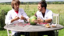 Rubber bands vs Water Melon - The Slow Mo Guys