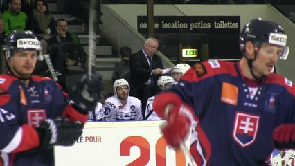 France 1-4 Slovaquie, Réactions de Dave Henderson