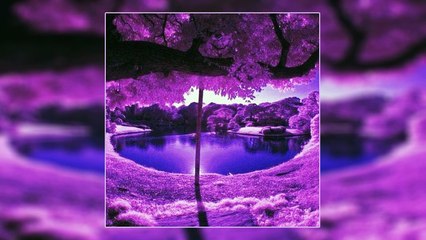 The Game - Rest In Purple ft. Lorine Chia (Prince Tribute)