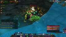 Unusual Specs #2 - Kitty DPS!