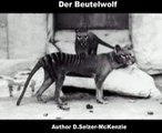 Beutelwolf Tiere Animals SelMcKenzie Selzer-McKenzie