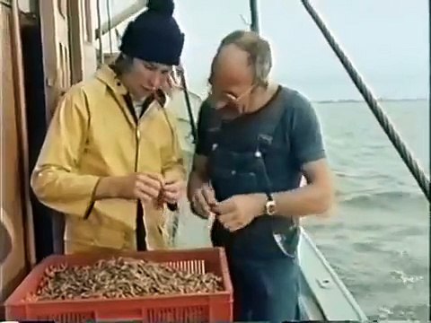 Pusteblume mit Peter Lustig 22 Peter und das Seehundbaby