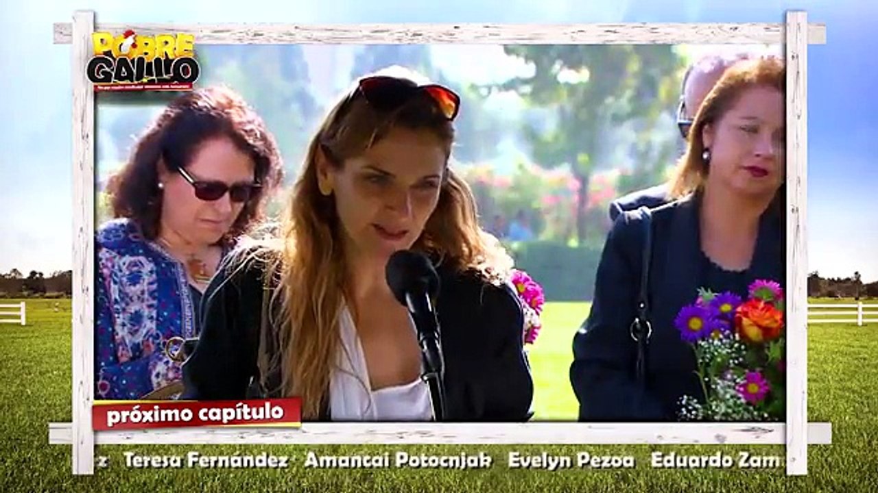 76 Avance Pobre Gallo