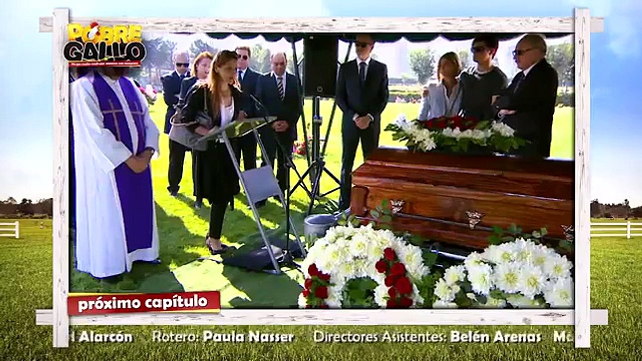 76 Avance Pobre Gallo