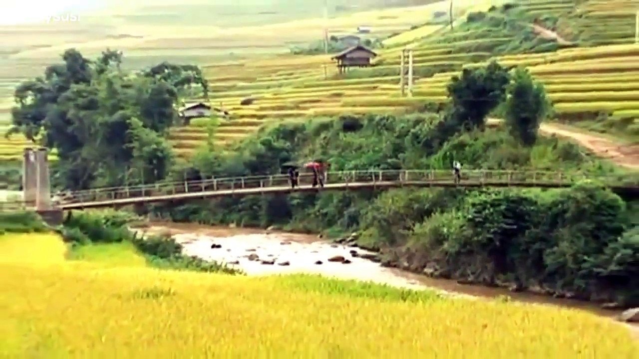 Ca nhạc thiếu nhi -- Tổng hợp 10 bài hát hay nhất cho thiếu nhi( Chú voi con, Con gà trống...)