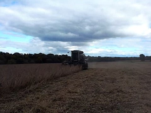 Allis-Chalmers/Gleaner F2 Combine