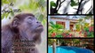 For Rent a Romantic One Bedroom Vacation Home in Congo Hills, San Juan del Sur Nicaragua