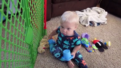 100K SUBSCRIBERS REACTION! - Daily Bumps