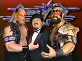 World Wrestling Fédération  (WWE) 1990.