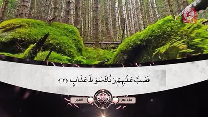 سورة الفجر - جزء عم | طيور الجنة