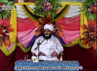 Jb Buraq Ki Raftar Is Qadr Hai To Nabuwat Ki Raftar Ka Aalam