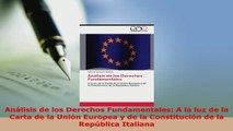PDF  Análisis de los Derechos Fundamentales A la luz de la Carta de la Unión Europea y de la  Read Online
