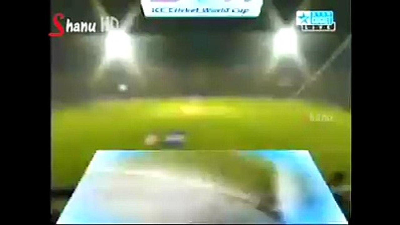 funny video