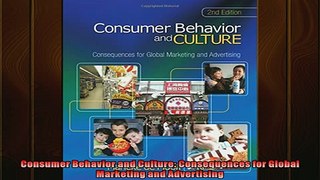 FREE PDF  Consumer Behavior and Culture Consequences for Global Marketing and Advertising READ ONLINE