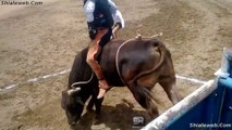 SUPER JARIPEO RANCHERO EXTREMO FAMOSO JINETE EL MUNECO DE JALISCO ENFRENTANDO A TOROS BRAVOS Y SALVAJES ABRIL 2016