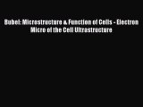 [PDF] Bubel: Microstructure & Function of Cells - Electron Micro of the Cell Ultrastructure