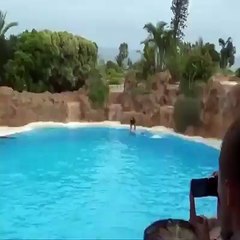 Wao wonderful and amazing fish