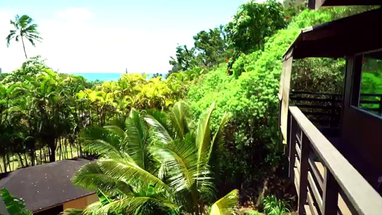 Alexander Tikhomirov Diary. Back Home