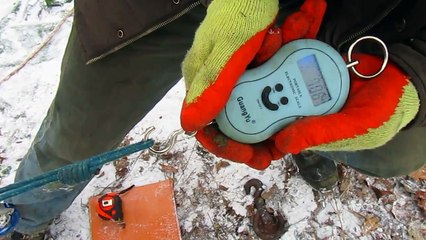 Mishusha. испытания стропы