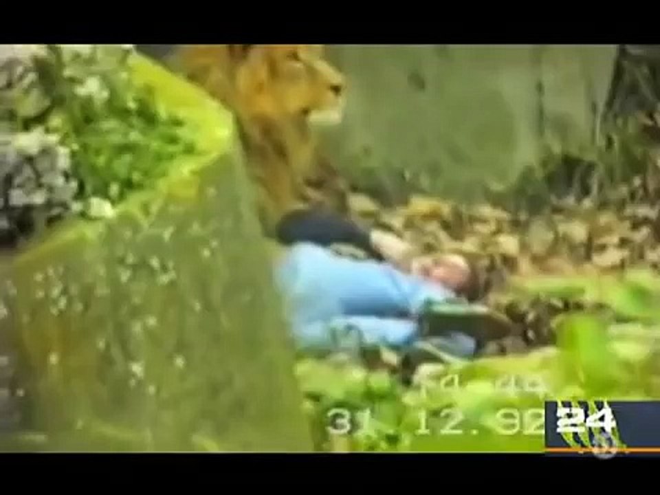 When animals attack BEST OF 2016