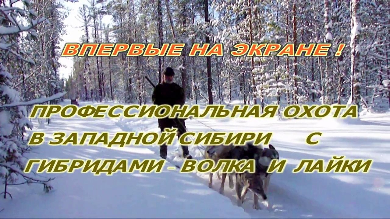 SiteFilm3Rus
