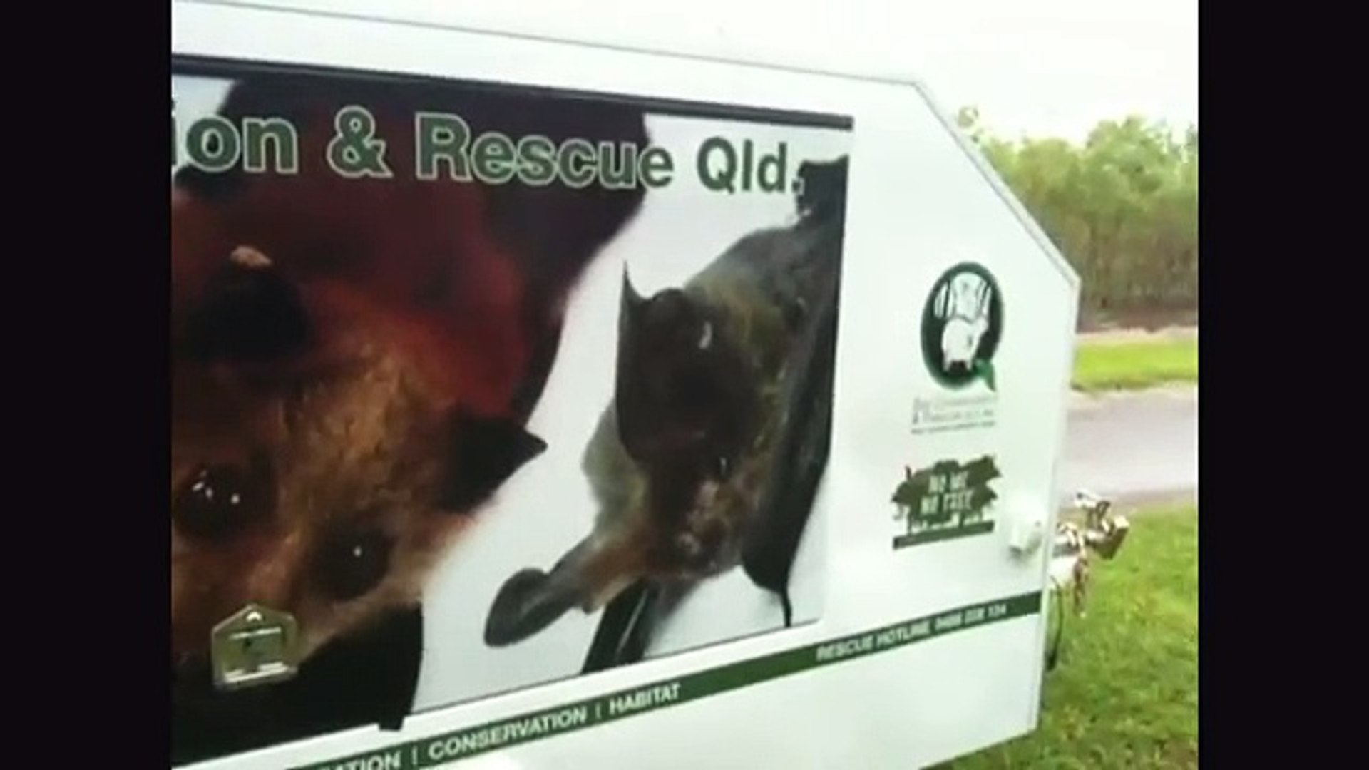Bat education trailer