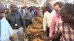 Zimbabwean tobacco farmers suffer from drought