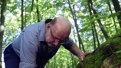 Les Romains en Germanie (2-3)