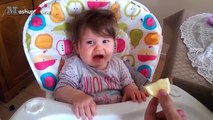 Baby Eats Lemon - A Babies Eating Lemons For The First Time Compilation 2016    NEW HD
