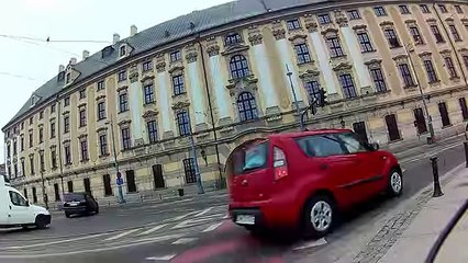 Purse Robber Gets Hunted - Like A Dog