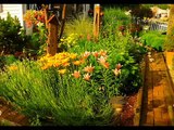 jardinería plantas decoración instalación de césped artificial recortes de setos poda Madrid
