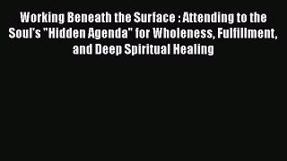 Ebook Working Beneath the Surface : Attending to the Soul's Hidden Agenda for Wholeness Fulfillment