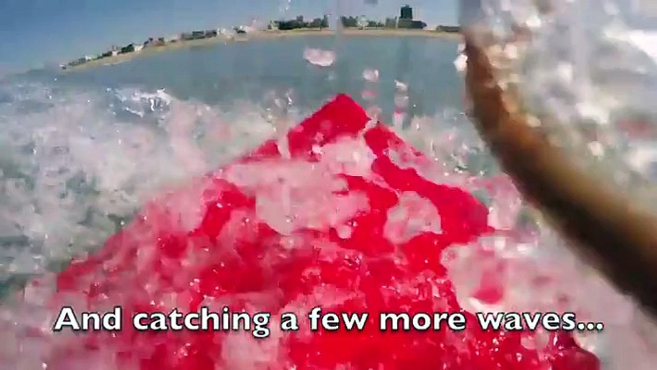 Surfer Catches a Great White Breaching The Surface Not Far From Him-Funny  & Entertainment Vidoes-Follow Us!!!!!