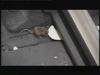 Pet Shop Boys - Home And Dry