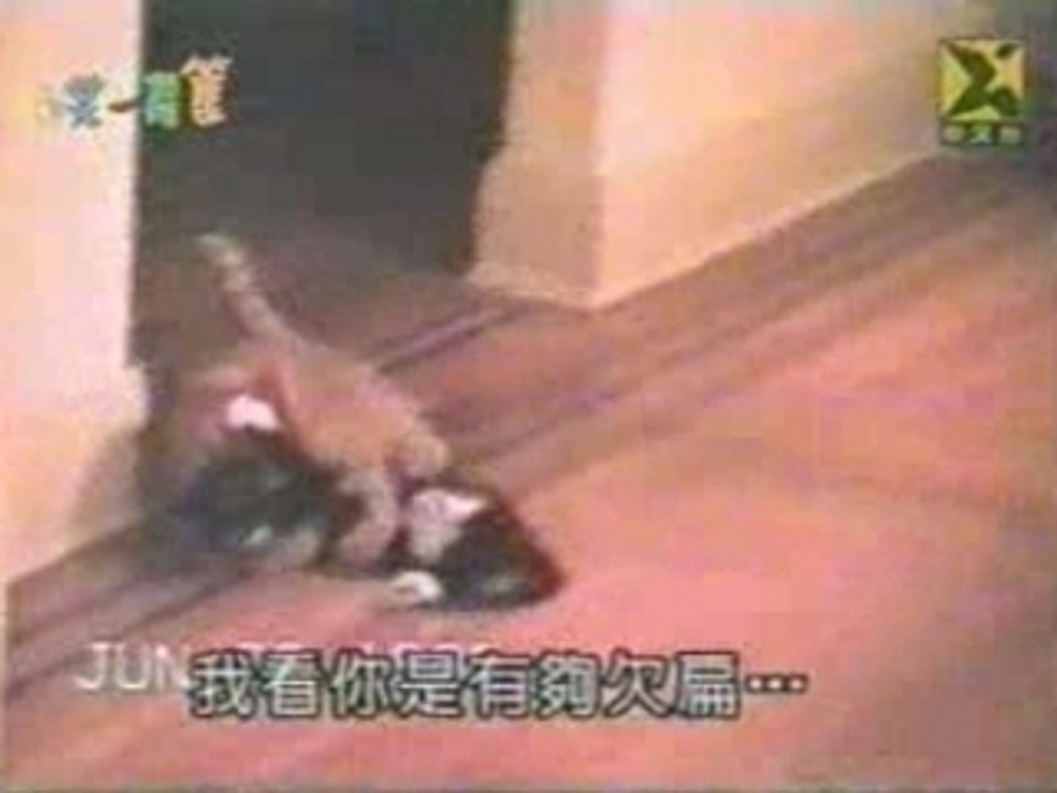 Judo Vs Karate