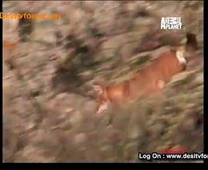 Be The Creature 21st June 2014 Video Watch Online pt2