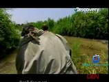 Dual Survival 5th December 2014 Video Watch Online pt4