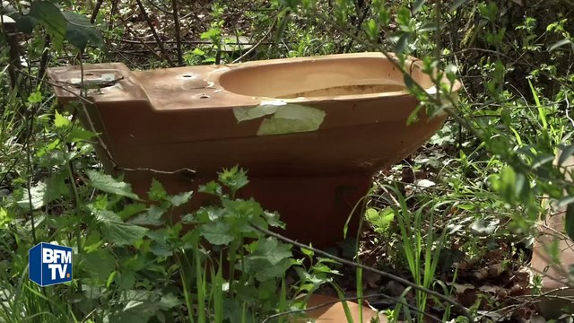 La forêt de Fontainebleau est noyée sous les déchets