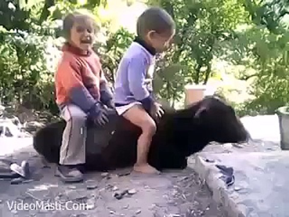 Katty par Sawari ka maza hi kuch aur hai hahaha