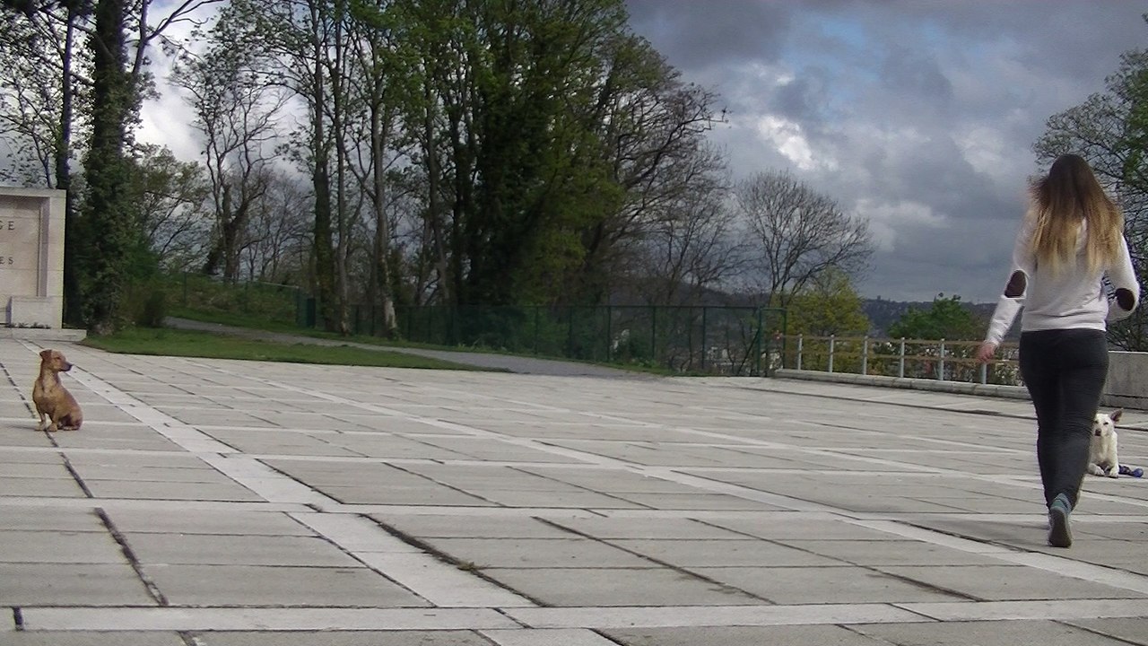 Travail en extérieur - Charlie - avril 2016